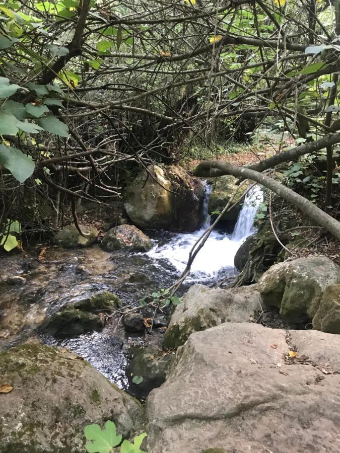 Vila Bosque Alto El Bosque Exteriér fotografie